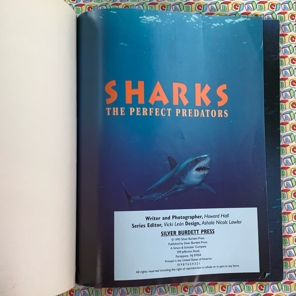 Sharks Learning Book Set for Kids. - Picture 13 of 16